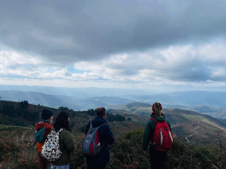 315584815 583616830431931 1489442599755883306 n 1 768x576