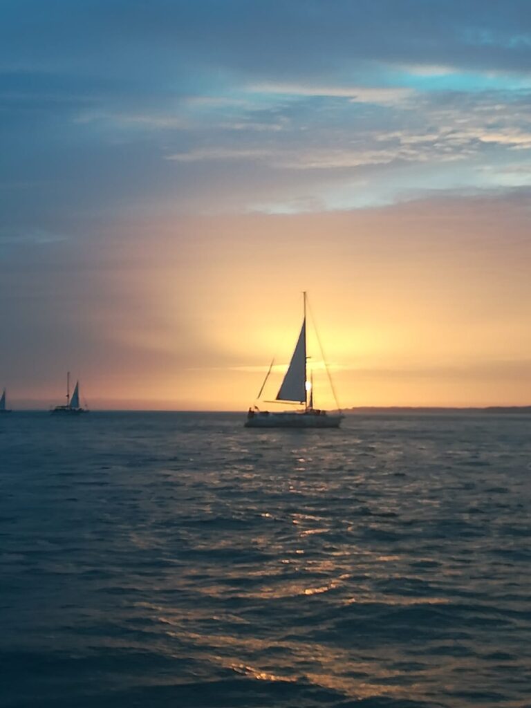 9cce4ca8 f91b 4c66 9a80 261c3cded273 1 768x1024