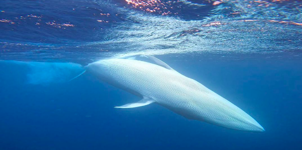 Captura de ecra 2023 02 07 as 11.13.13