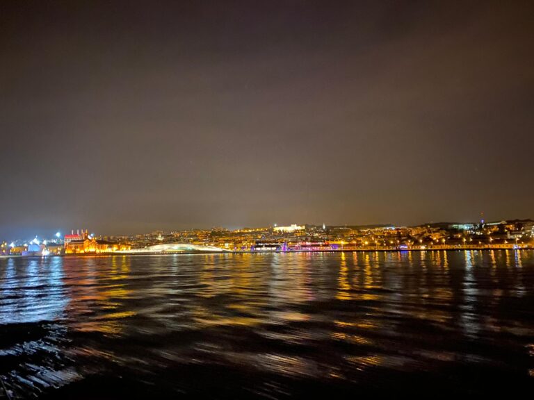 Night tour 9 768x576