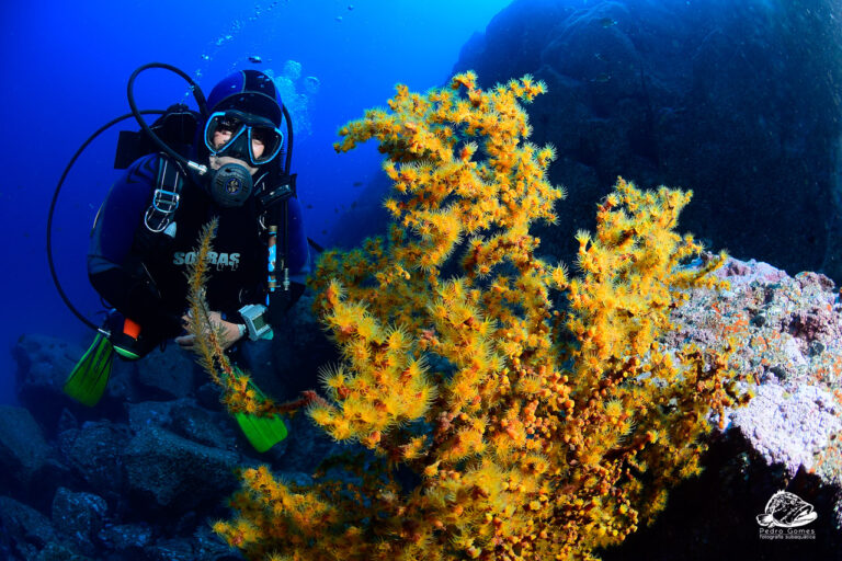 baixa dabra 5 768x512